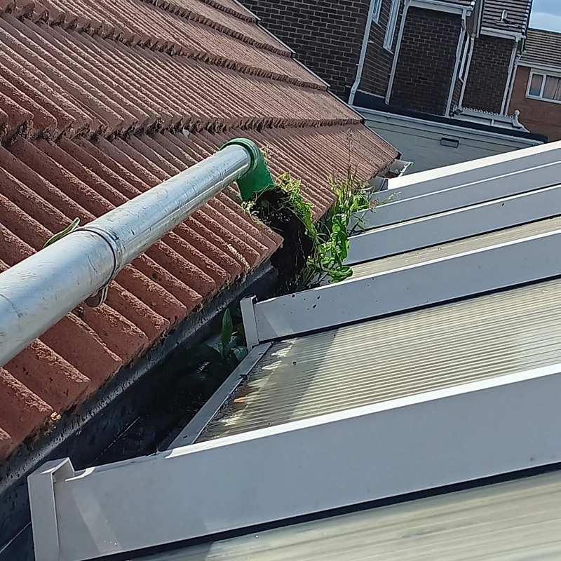 Vacuum Gutter Cleaning