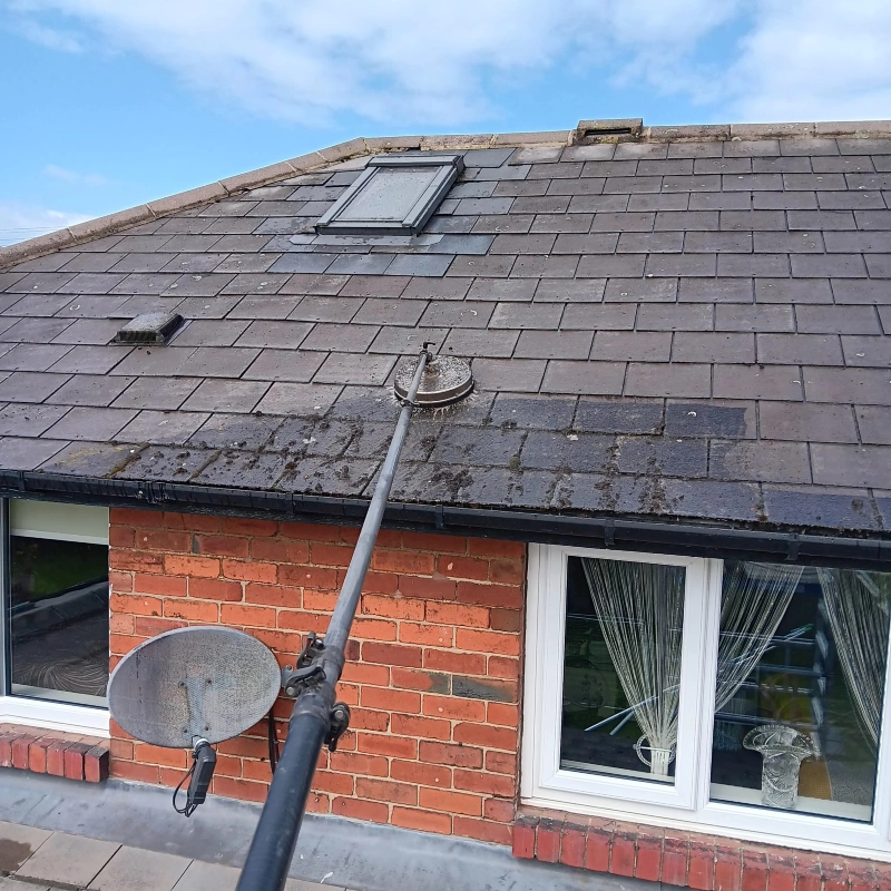Roof Cleaning
